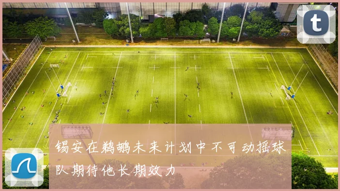 锡安在鹈鹕未来计划中不可动摇球队期待他长期效力